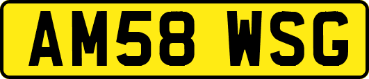 AM58WSG