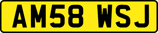 AM58WSJ