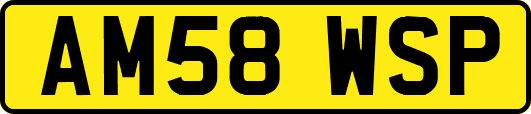 AM58WSP