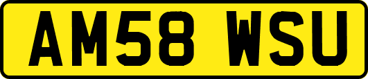 AM58WSU