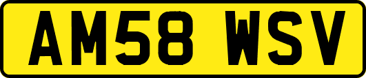 AM58WSV