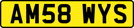 AM58WYS