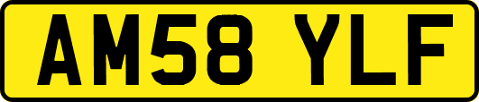 AM58YLF