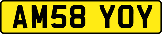 AM58YOY