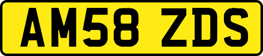 AM58ZDS