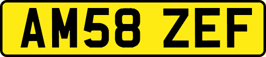 AM58ZEF