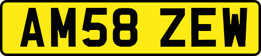 AM58ZEW