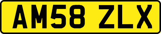 AM58ZLX