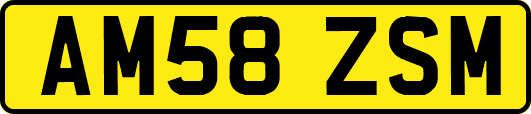 AM58ZSM
