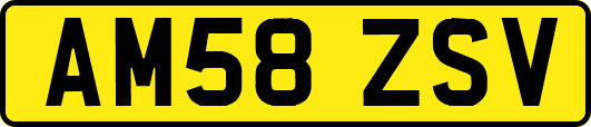 AM58ZSV