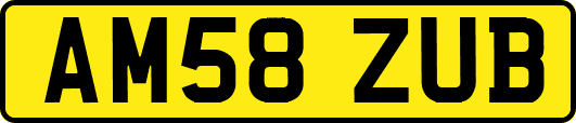 AM58ZUB