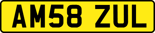 AM58ZUL