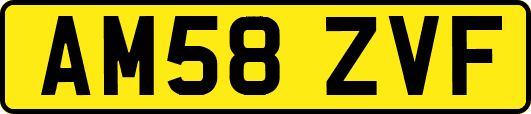 AM58ZVF