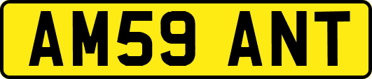 AM59ANT