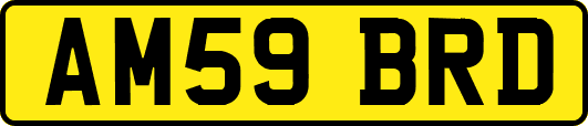 AM59BRD
