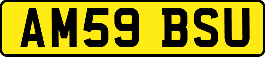 AM59BSU