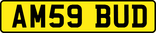 AM59BUD