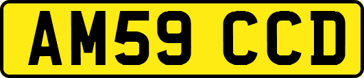 AM59CCD