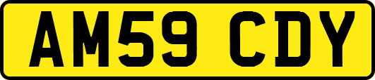AM59CDY