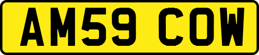 AM59COW