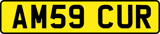AM59CUR