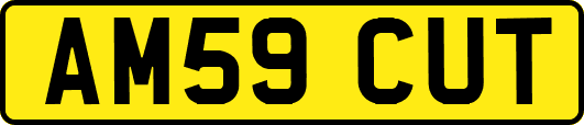 AM59CUT