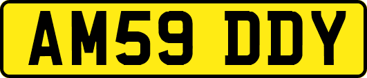 AM59DDY