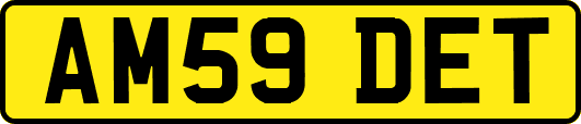 AM59DET