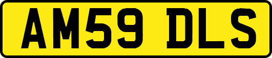 AM59DLS