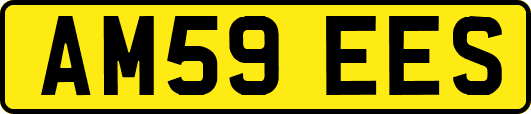 AM59EES