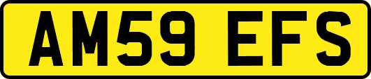 AM59EFS