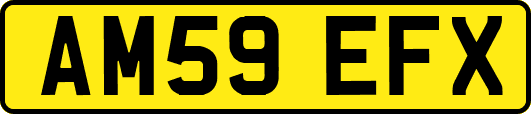 AM59EFX