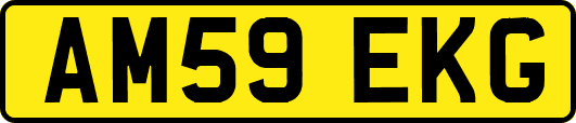 AM59EKG