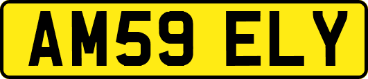 AM59ELY