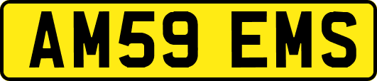 AM59EMS
