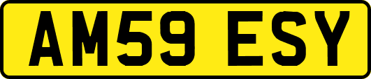 AM59ESY