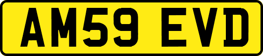AM59EVD