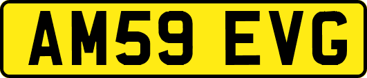 AM59EVG