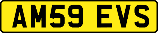 AM59EVS
