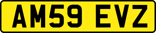 AM59EVZ