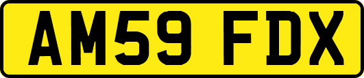 AM59FDX