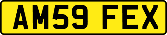 AM59FEX