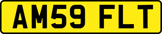 AM59FLT