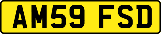 AM59FSD
