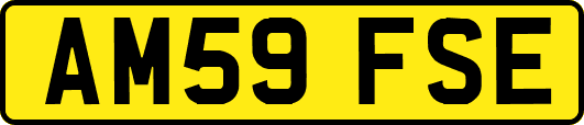 AM59FSE