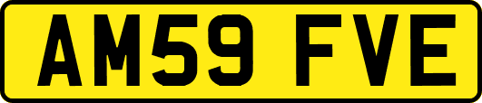 AM59FVE