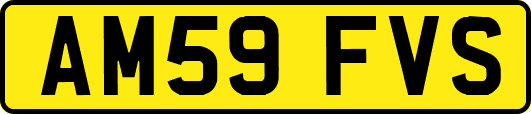 AM59FVS