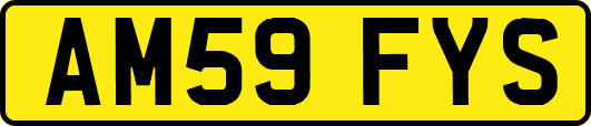 AM59FYS