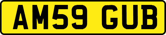 AM59GUB