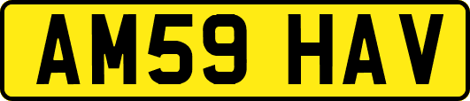 AM59HAV